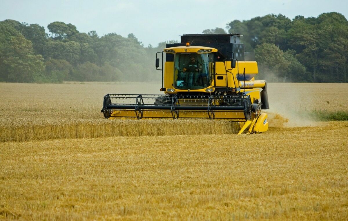 Украинское зерно покупают страны с развитой экономикой