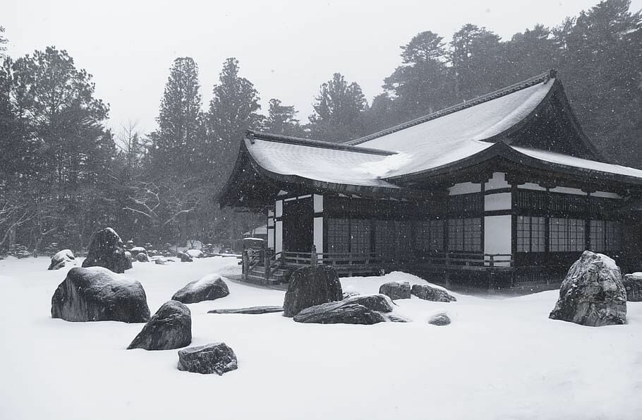 В Японии в результате снегопада пострадали десятки граждан