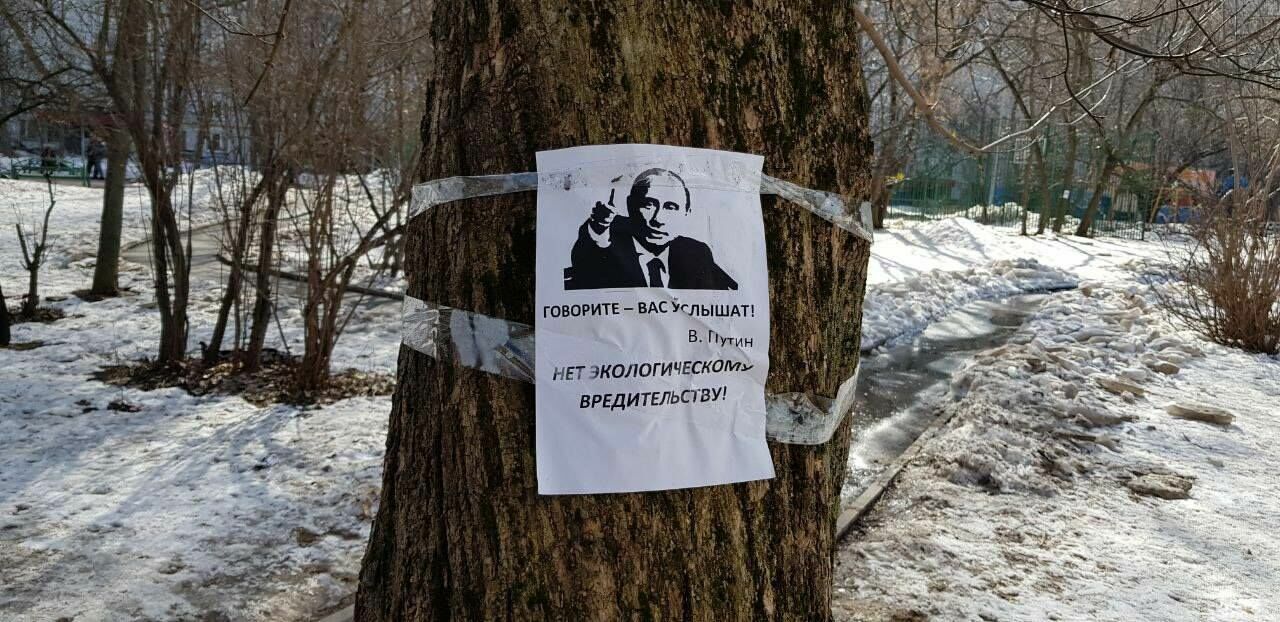 Оберег от варваров: москвичи расклеили портреты Путина на деревьях