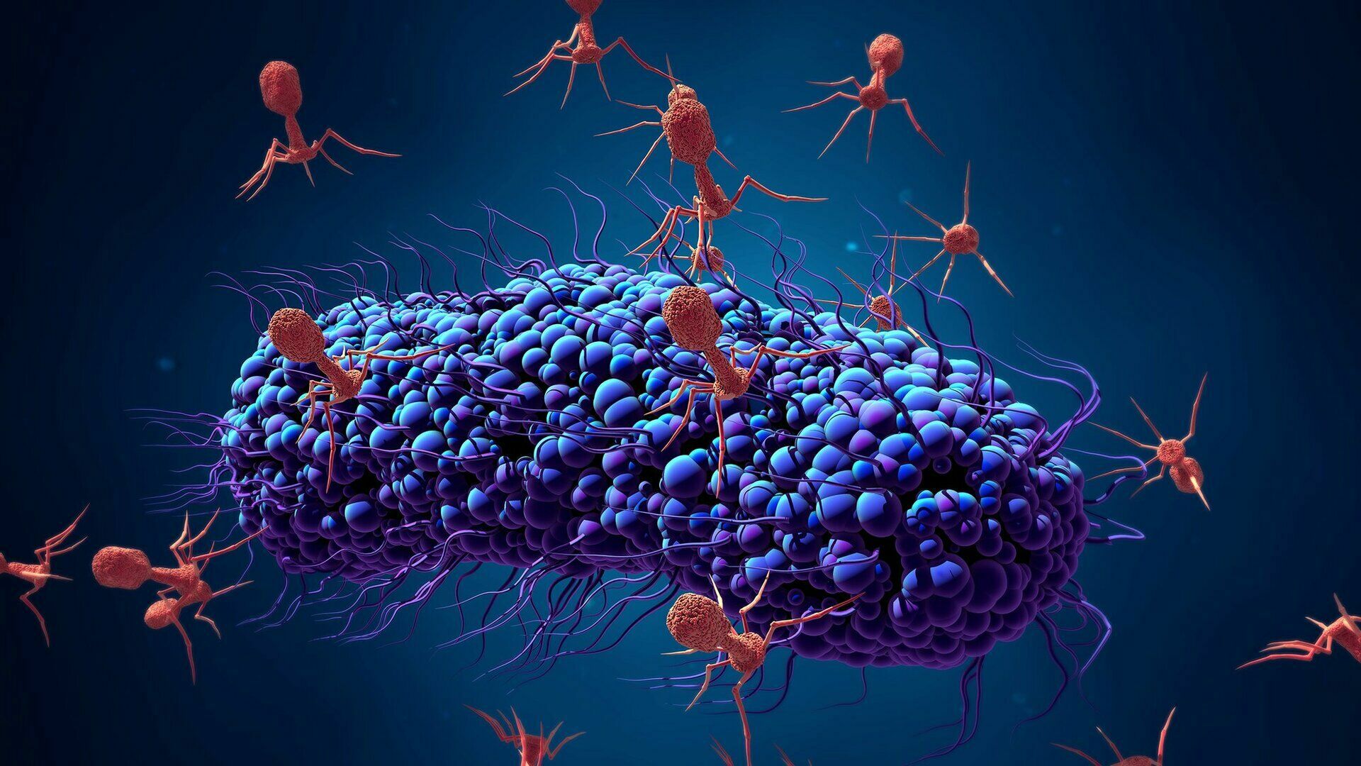 Клин клином: ученые ввели лекарство в раковую клетку с помощью бактерии сальмонеллы
