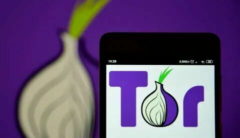 Российские пользователи заявили о прекращении блокировки сети Tor