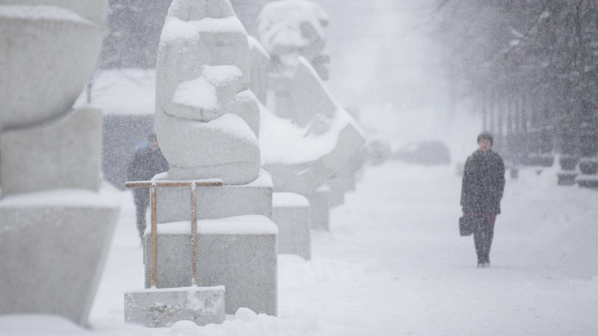 «До четверти нормы осадков»: на Москву надвигается сильный снегопад
