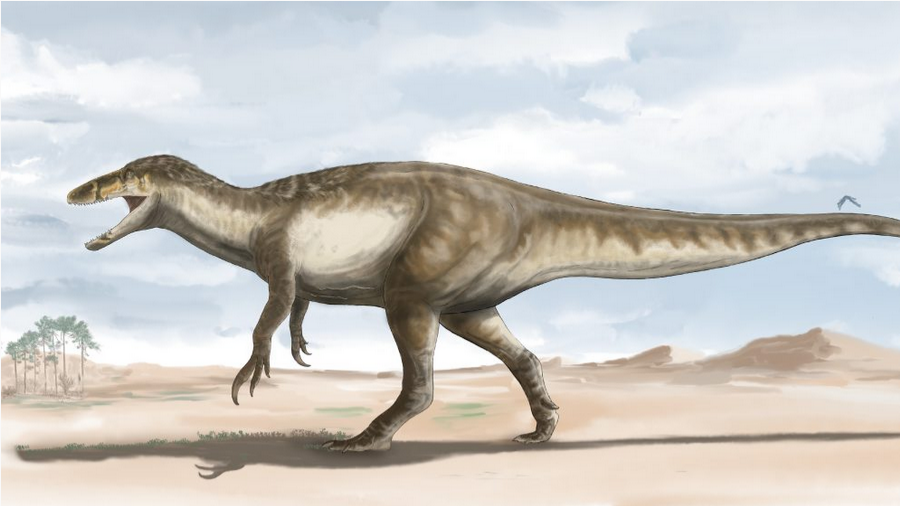 «Рост» 10 метров, вес 5 тонн: обнаружен новый хищный динозавр