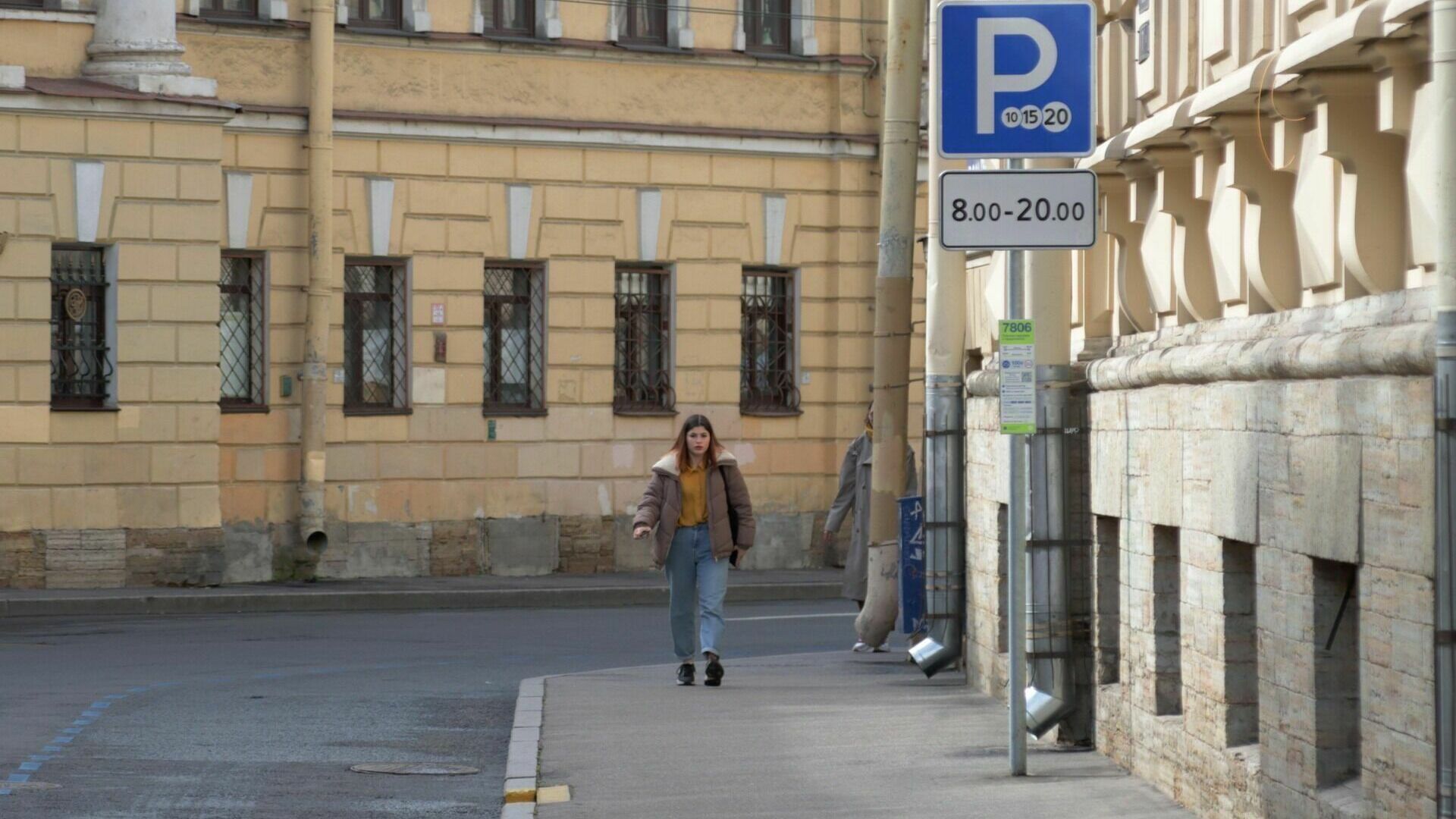 Жители Петербурга потребовали мораторий на платные парковки