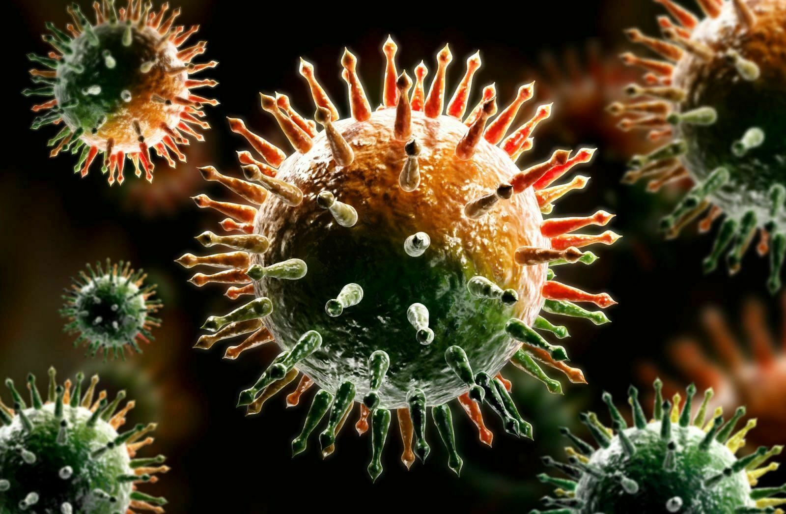 Ученые выяснили, как коронавирус обманывает иммунитет