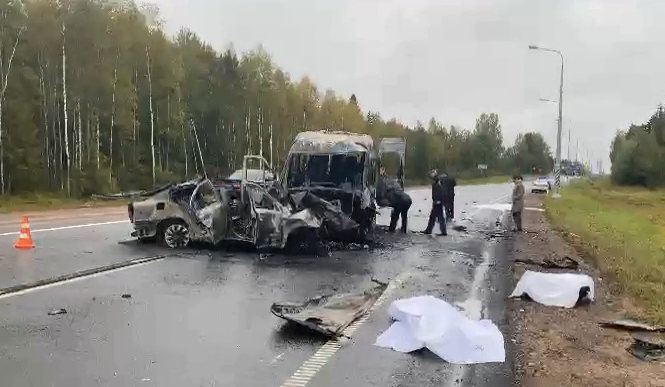 В Псковской области два человека погибли при аварии с микроавтобусом