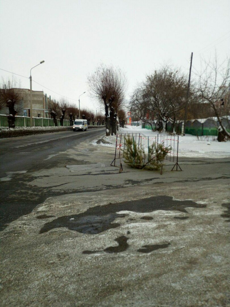 В Омске дорожную яму заделали новогодними ёлками