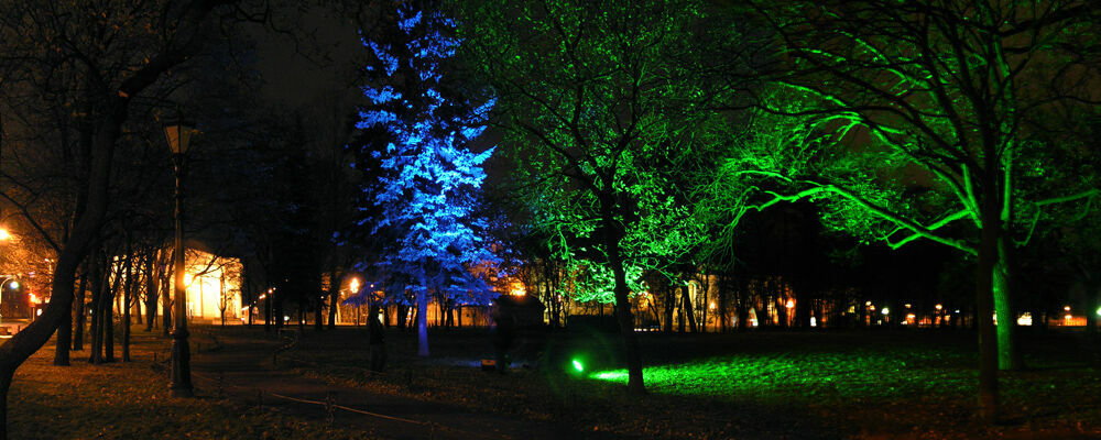 В Госдуме посоветовали Собянину не тратить миллиарды на подсветку деревьев