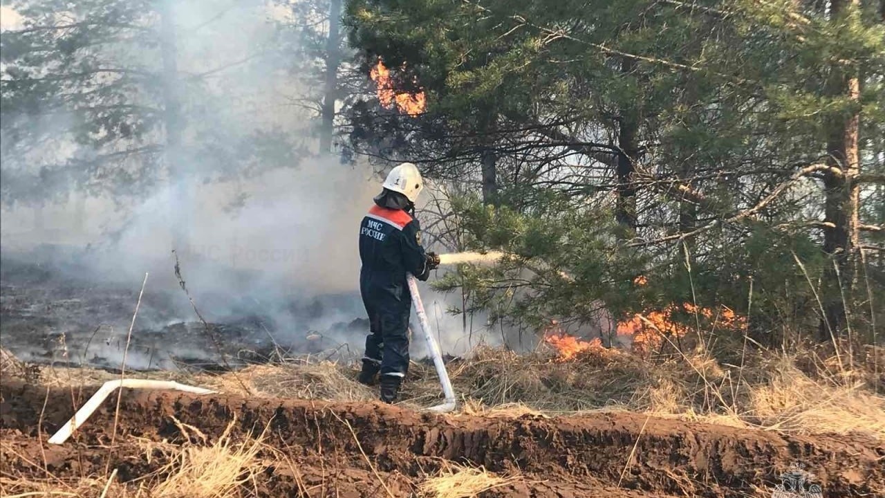 Тайга в Красноярском крае загорелась на площади 2000 гектаров