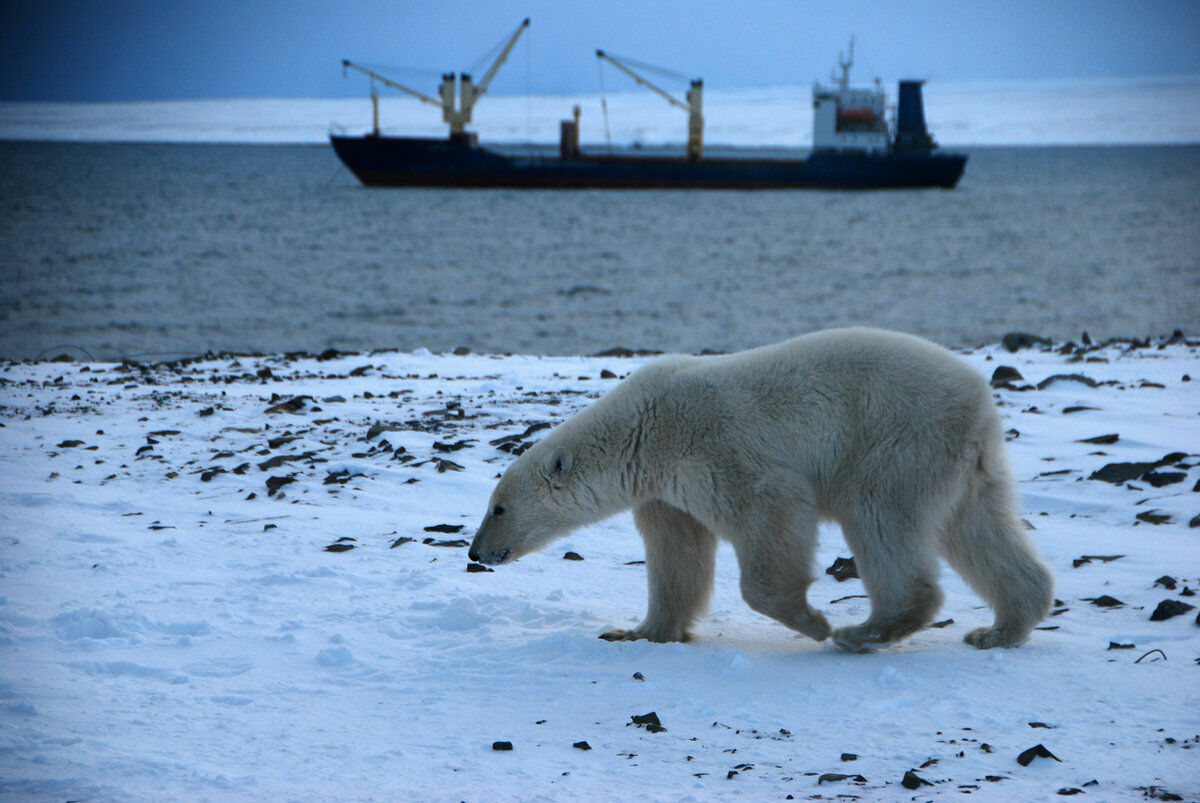 Евросоюз хочет запретить добычу углеводородов в Арктике, Россия против