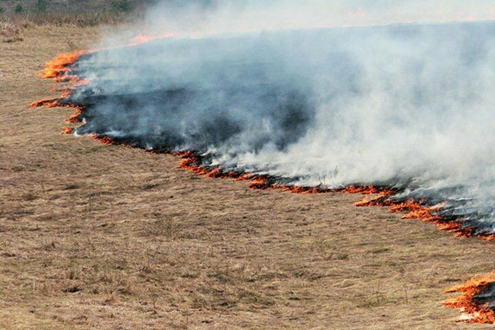 В Нижегородской области степной пожар перекинулся на военный полигон