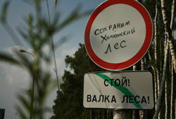 Дорогу между Московой и Петербургом строить надо - Путин (БЛОГИ)