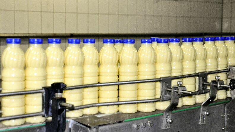В Подмосковье объем производства молока вырос на 10 тысяч тонн
