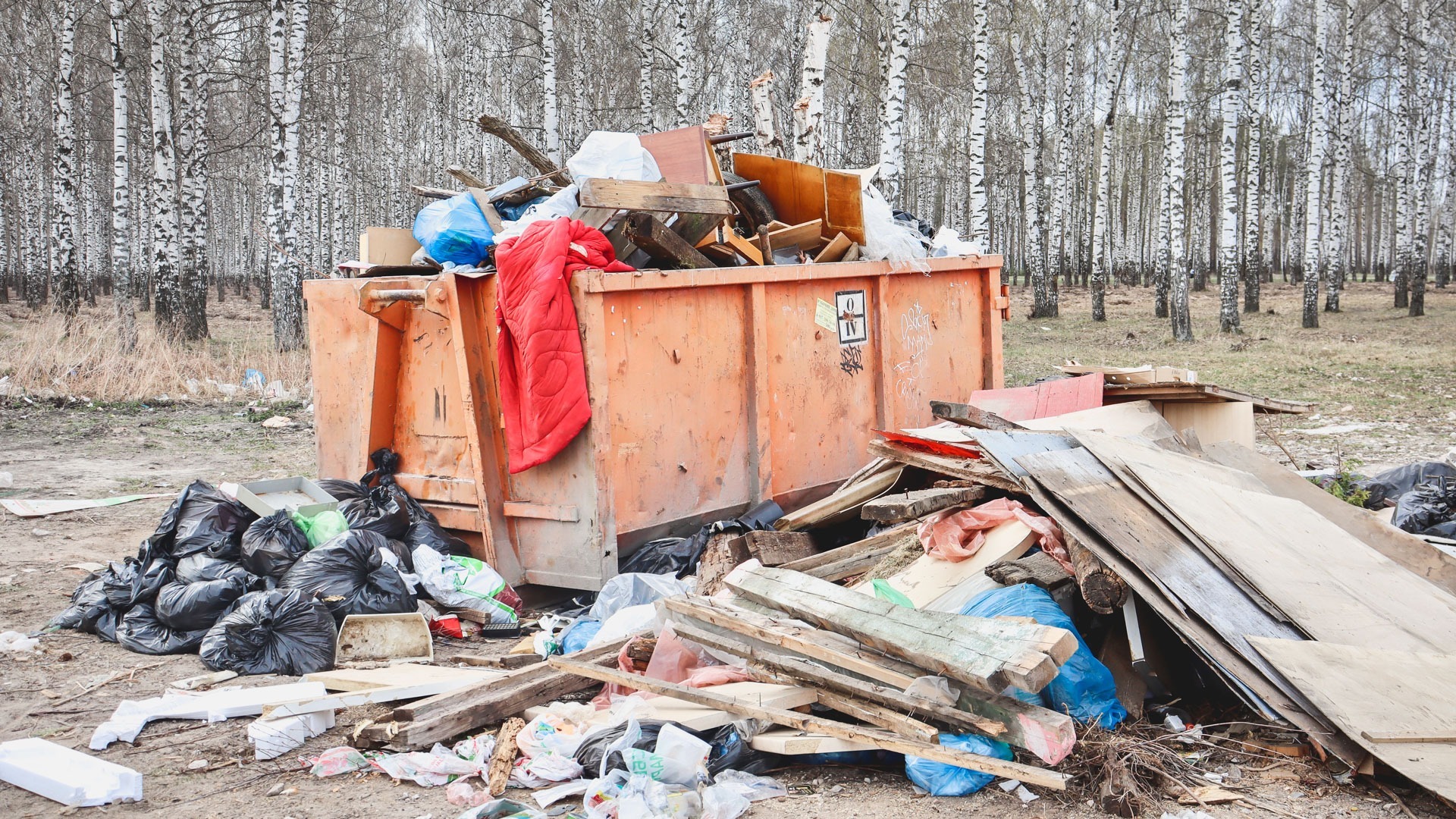 Курская чиновница на жалобы из-за мусора заявила, что «за всеми свиньями не убрать»