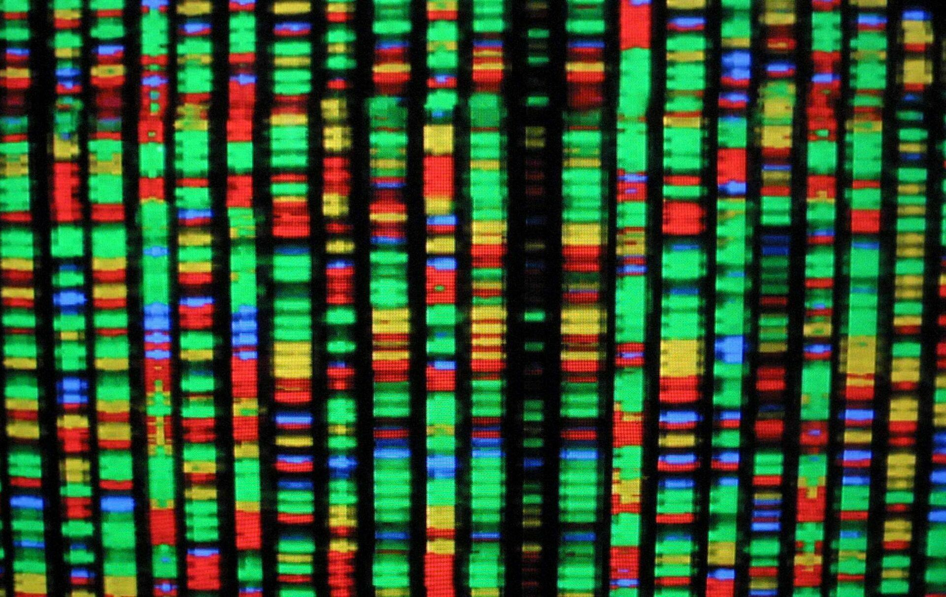 Закончена расшифровка полного генома человека