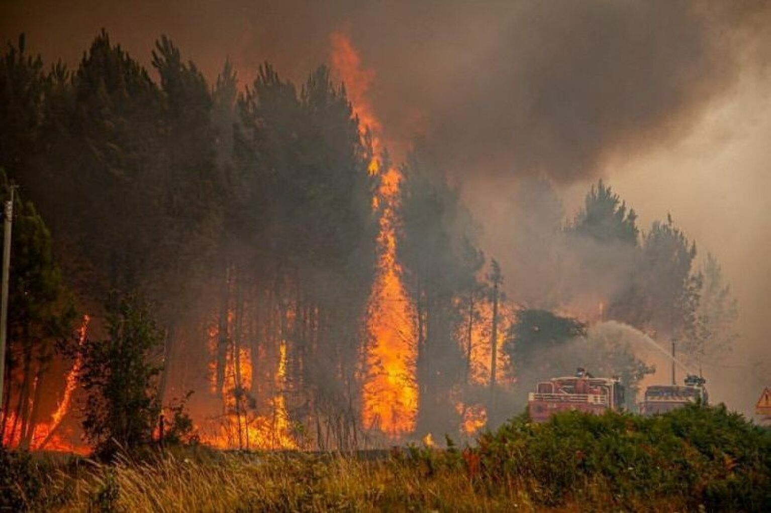 Тысячи людей в Европе эвакуированы из-за лесных пожаров