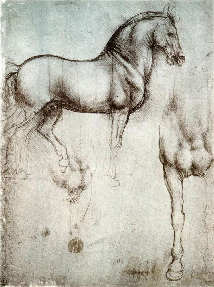 Эскиз лошади Леонардо Да Винчи