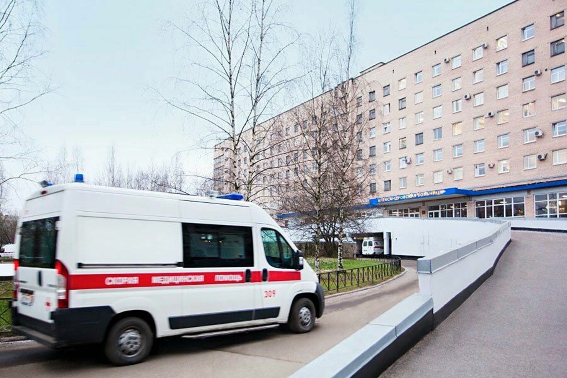 Александровская больница приемное отделение