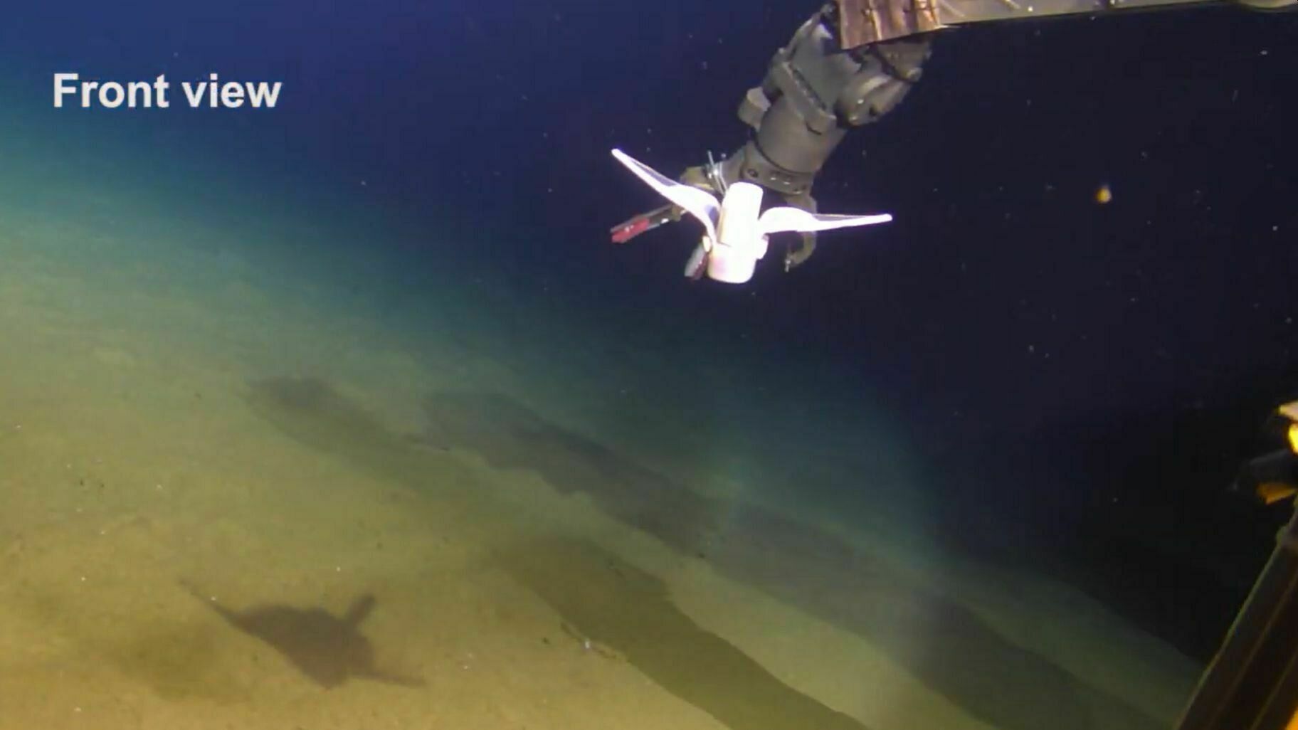 Ученые создали мягкого робота, который сможет опускаться в Марианскую впадину