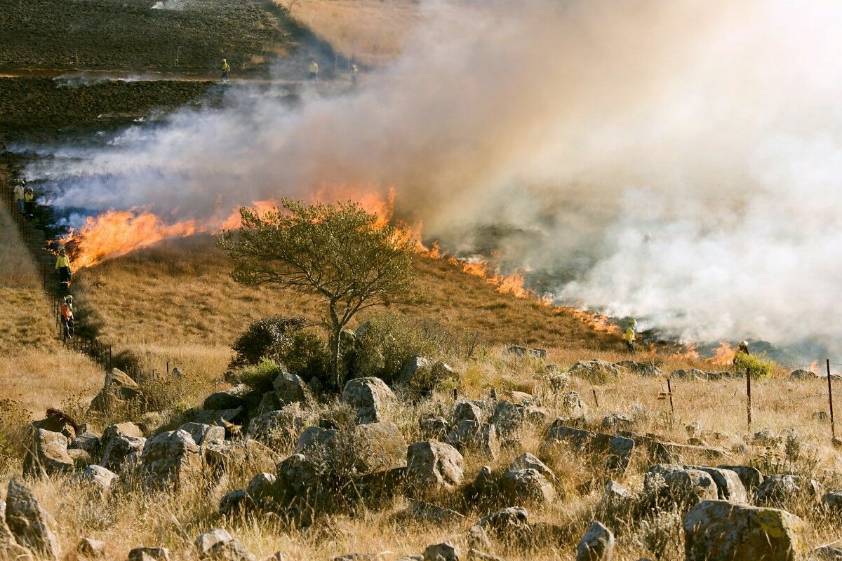 Крупный лесной пожар в Испании заставил эвакуировать полторы тысячи человек
