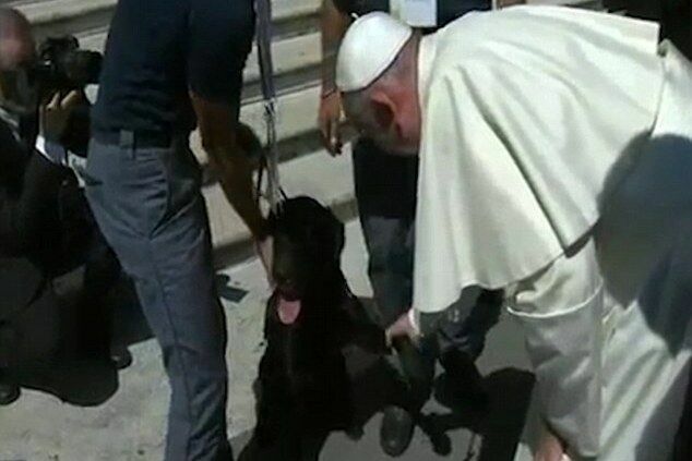 Папа Римский пожал лапу псу-спасателю