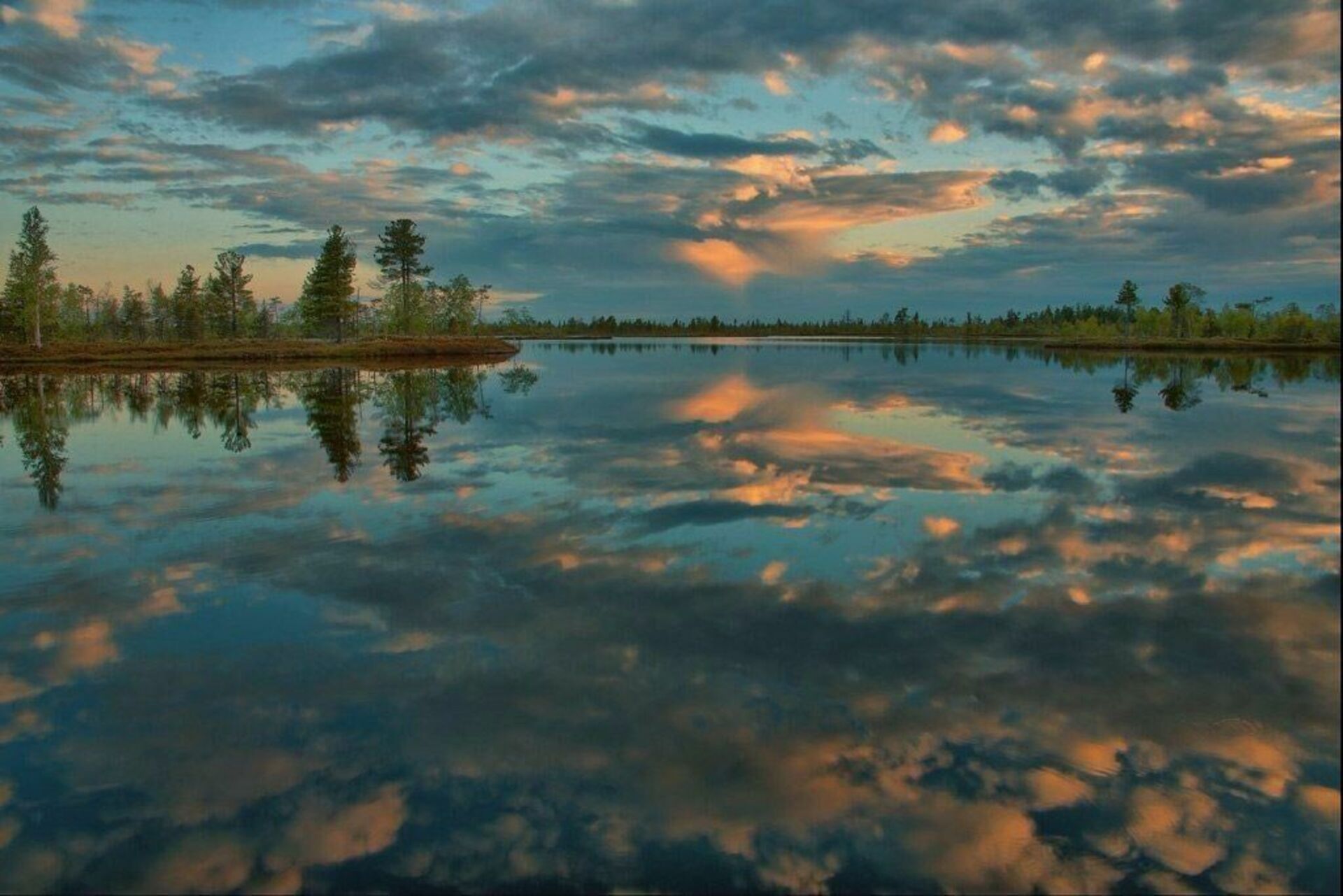 Крупные озера западной сибири. Васюганские болота Томская область. Томск Васюганское болото. Васюганское болото заповедник. Природа Томск Васюганские болота.