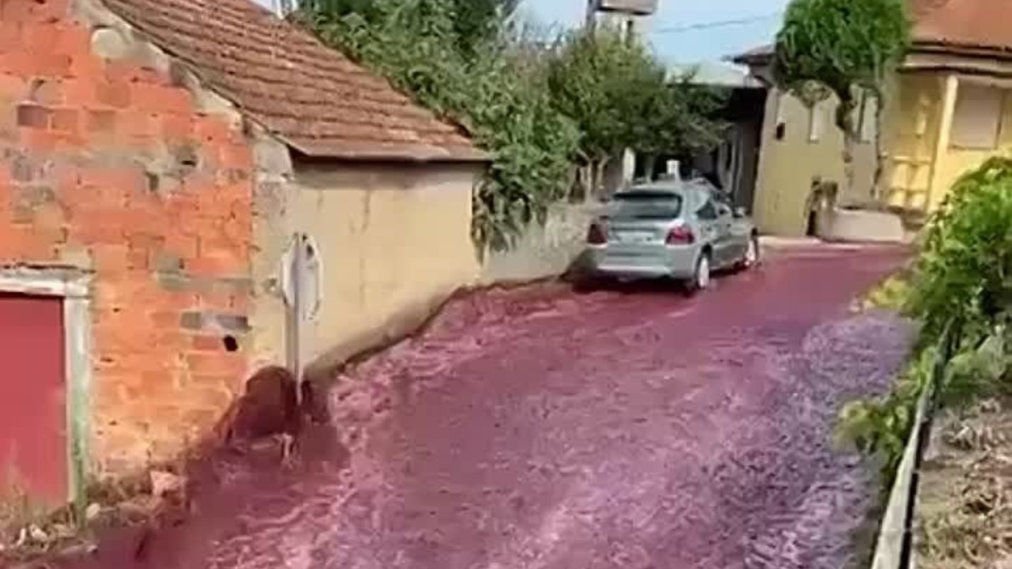 В Португалии улицы Анадии затопили винные реки (ВИДЕО)