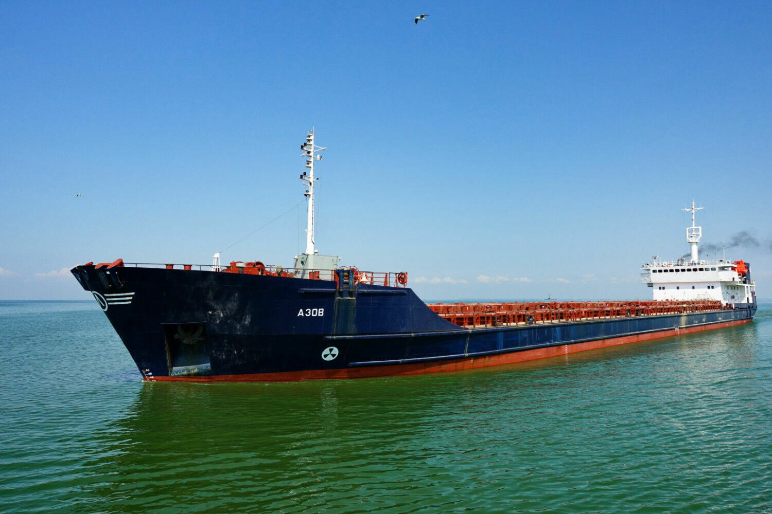 Моряков с судна "Азов Конкорд" освободили после месячного плена в порту Мариуполя