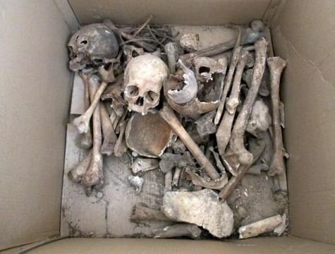 Человеческие кости сложили в коробку из-под телевизора. Фото 2011 года
