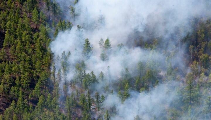 В Сибири и на Дальнем Востоке растет площадь лесных пожаров