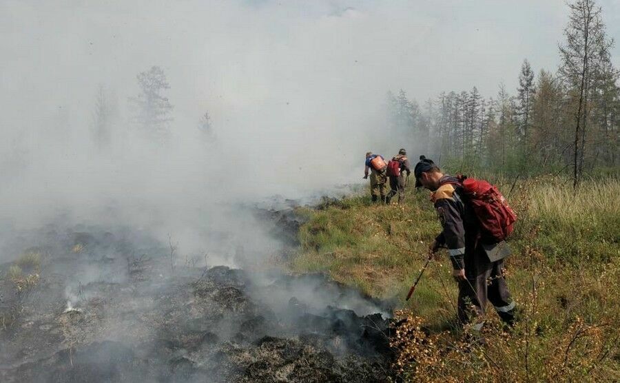Ущерб от пожаров в Якутии оценили в миллиард рублей