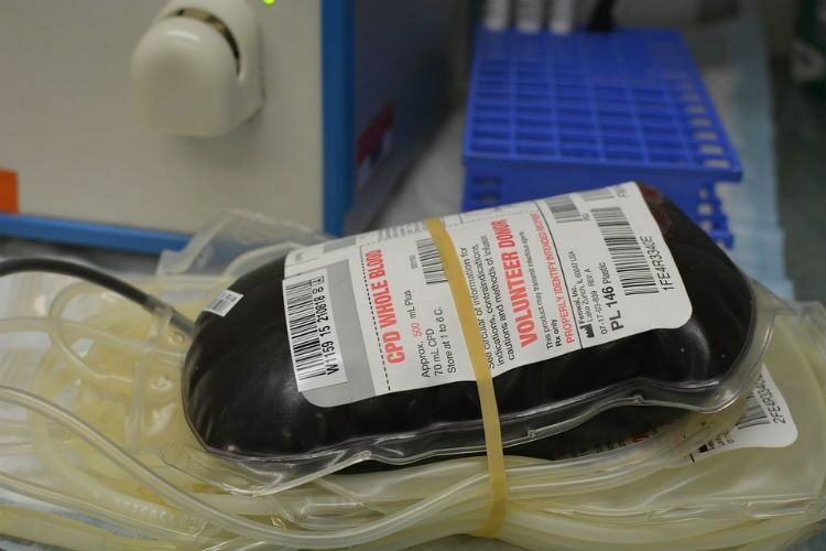 Ученые из Канады опровергли данные о пользе переливания свежей крови