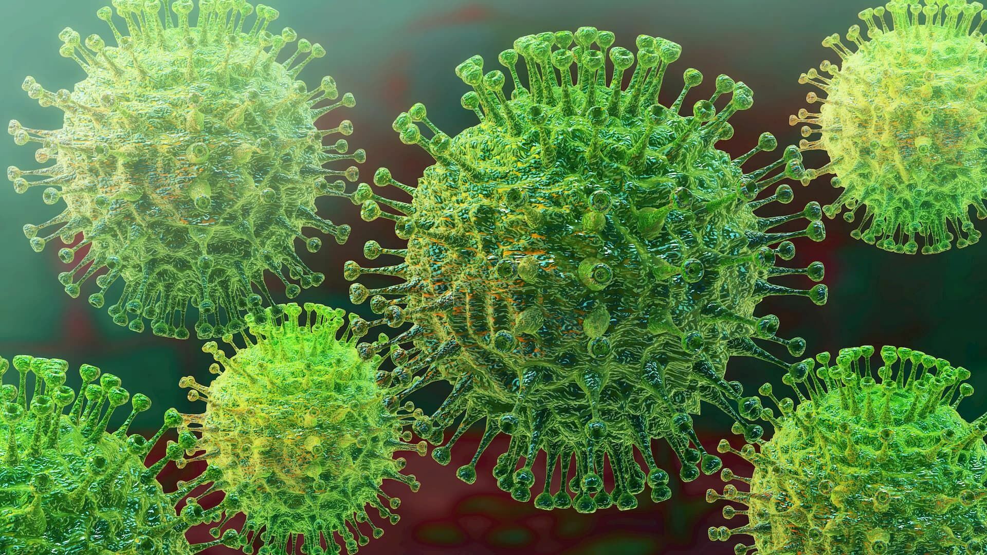 Австралийские ученые: в мире коронавирусом заразились до 10 млн человек