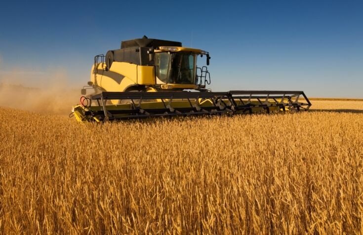 Россия увеличила экспорт зерна