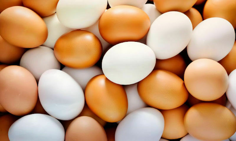 Специалисты рассказали, как выбрать яйца на Пасху