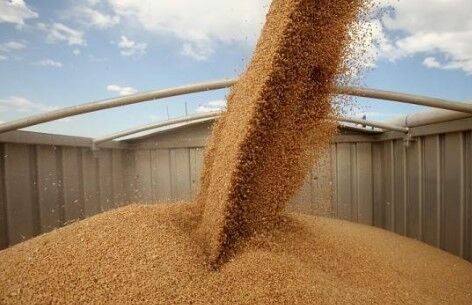 На перевозку пшеницы по новым правилам потребуется 200 миллионов долларов