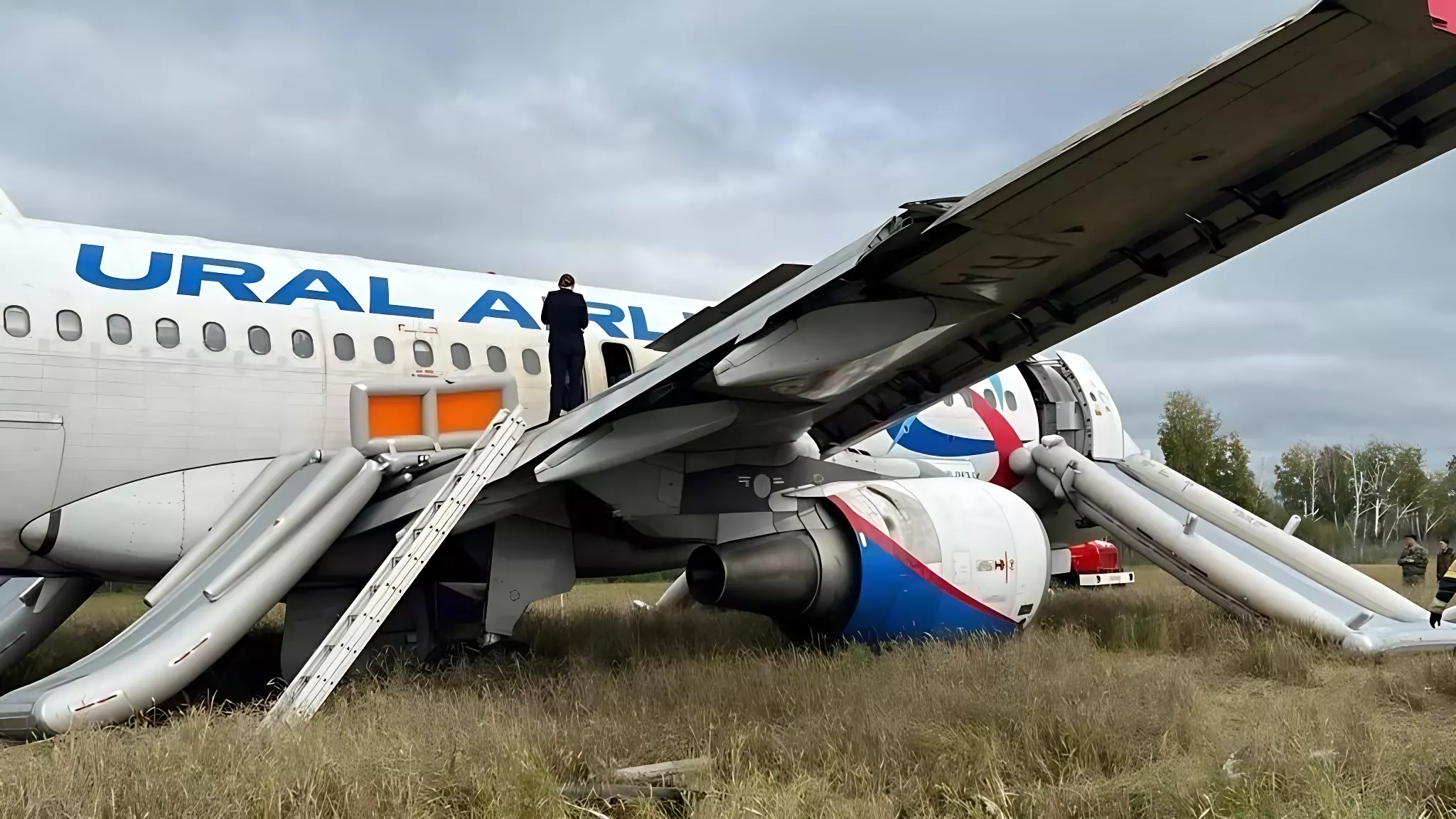 Пилоты допустили сразу несколько ошибок: итоги расследования посадки самолета в поле