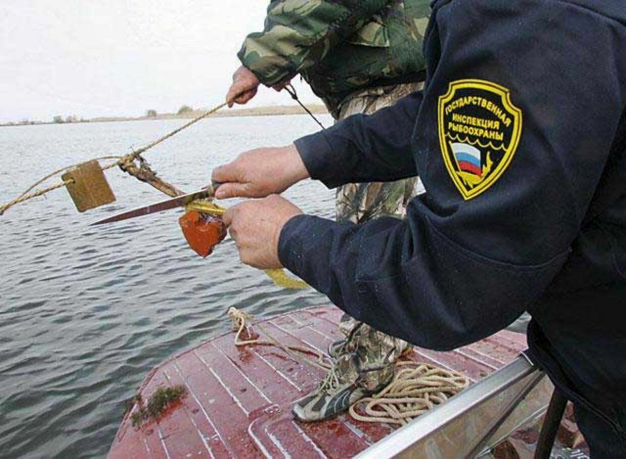 Можно ли ловить рыбу в россии