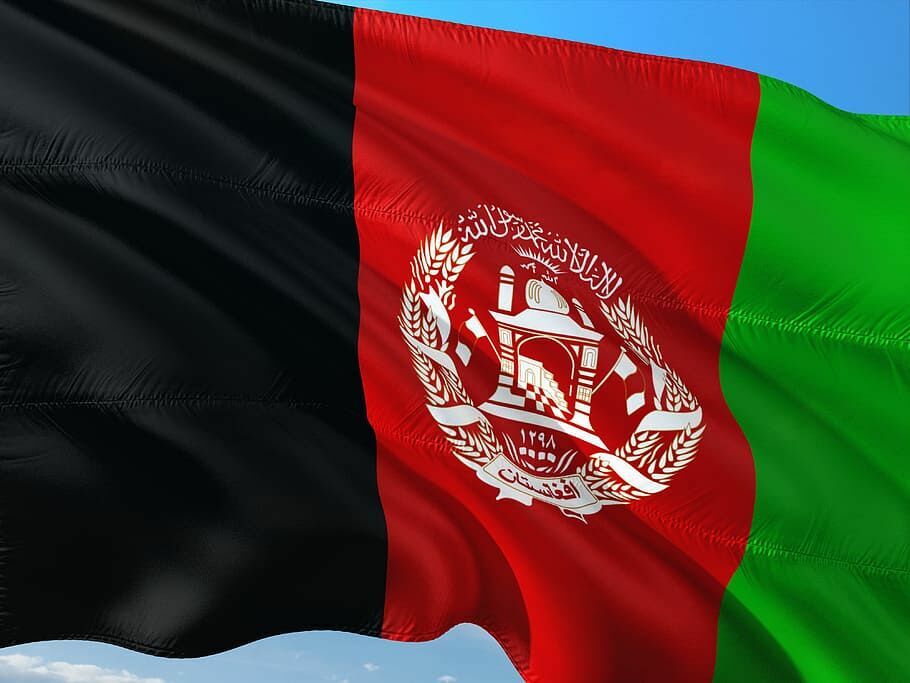 Узбекские власти призвали Талибан* бороться с терроризмом