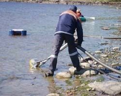 Подсчитан ущерб рыболовству от загрязнения Керченского пролива