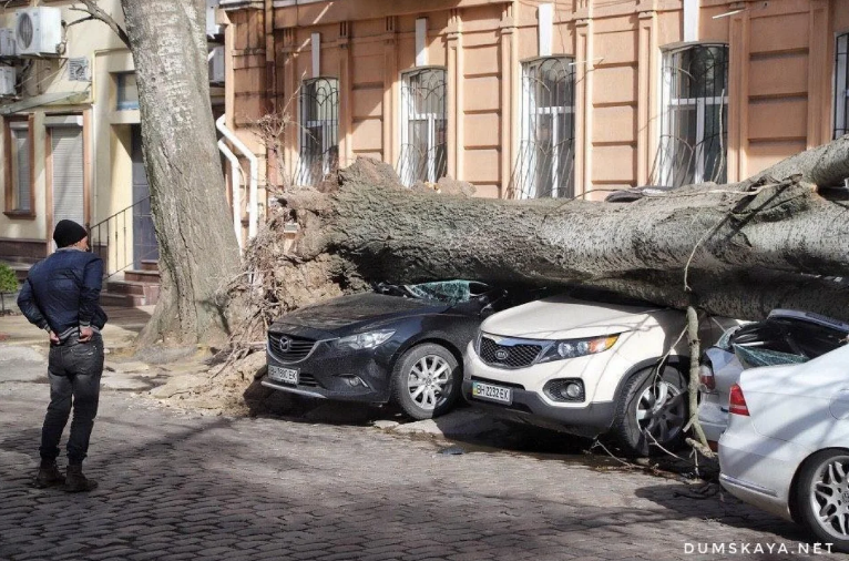 На Одессу обрушился шторм: погибла местная жительница, ветер валит деревья