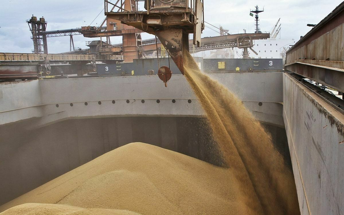 Вывоз украинской пшеницы из Одессы продолжается: ООН и Турция молчат