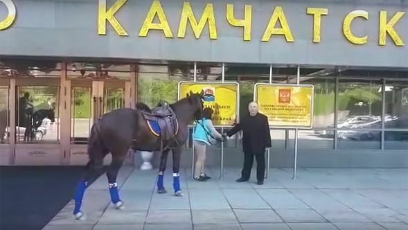 Камчатскому депутату отказали в парковочном месте для коня
