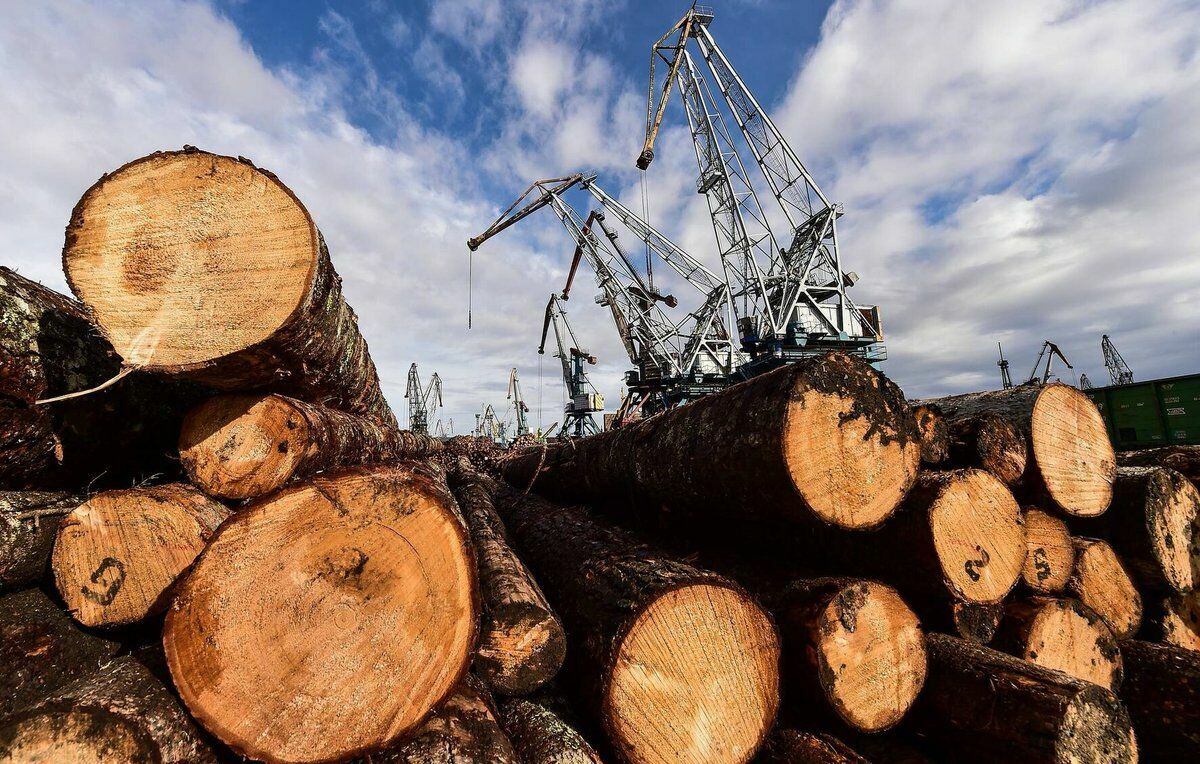 В Приангарье задержали главу района за контрабанду леса на 144 млн рублей