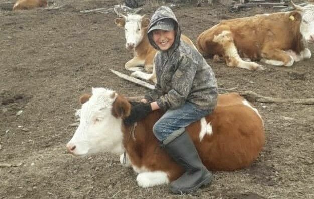 Удочка, а не рыба! Якутские чиновники не возместили 13-летнему мальчику потерю коровы