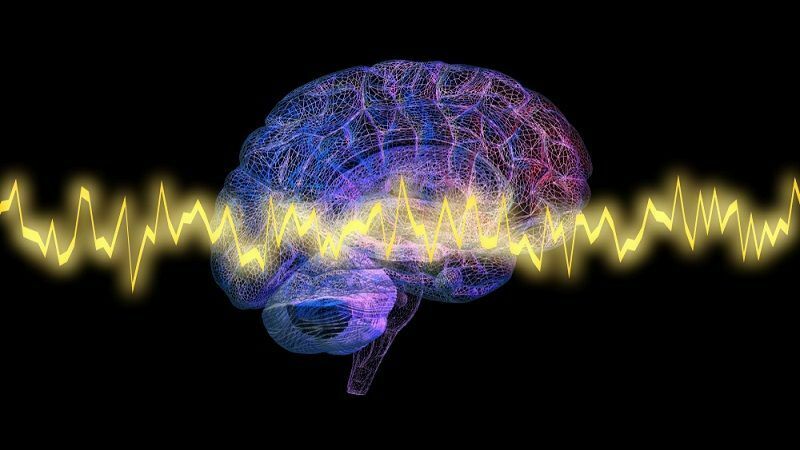 Ученые составили перечень научных открытий о мозге, сделанных в 2019 году