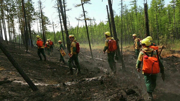 В Генпрокуратуре говорят о намеренных поджогах сибирских лесов