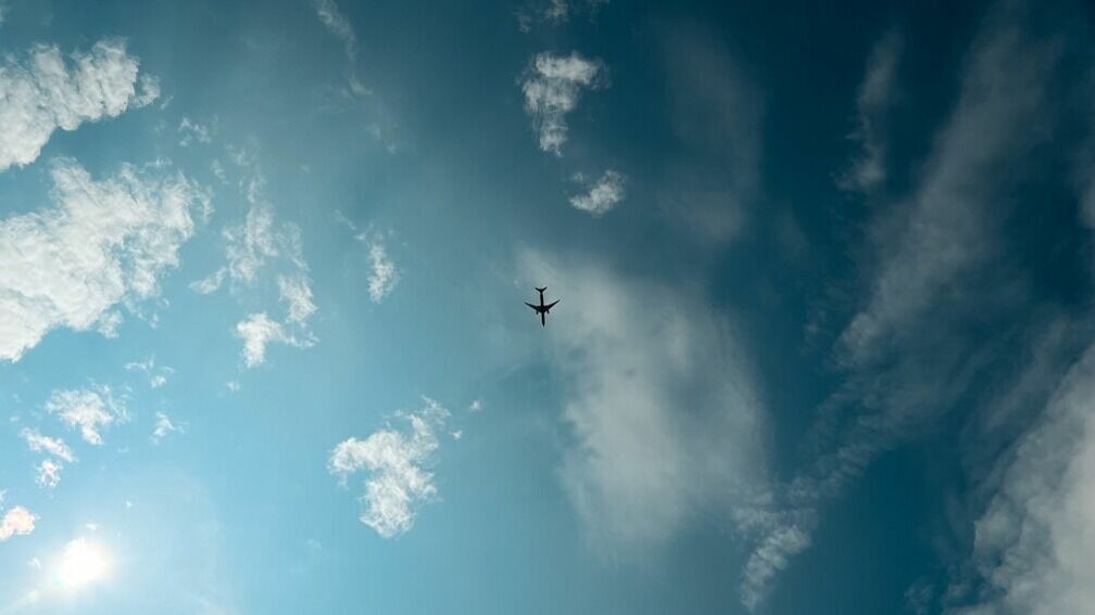 Росавиация пообещала «спокойные полеты» на западных самолетах до 2030 года
