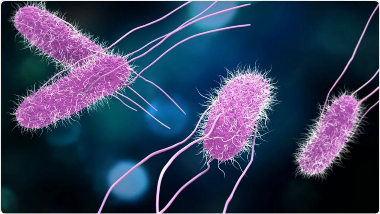 В Швейцарии началось создание Хранилища микробиоты