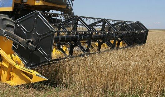 Правительство РФ решило обнулить экспортную пошлину на пшеницу на два года